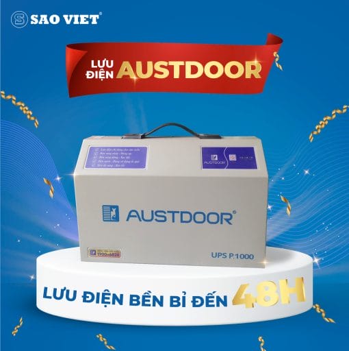 luu-dien-P1000